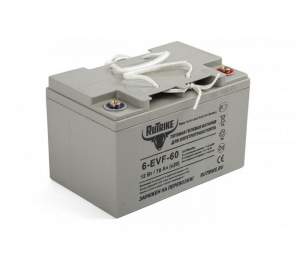 Аккумулятор для штабелёров IWS/WS/CDD10R-E/CDD12R-E/CDD15R-E 
12V/100Ah (Gel battery)